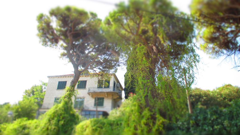 Apartment Dubrovnik Surprise Экстерьер фото